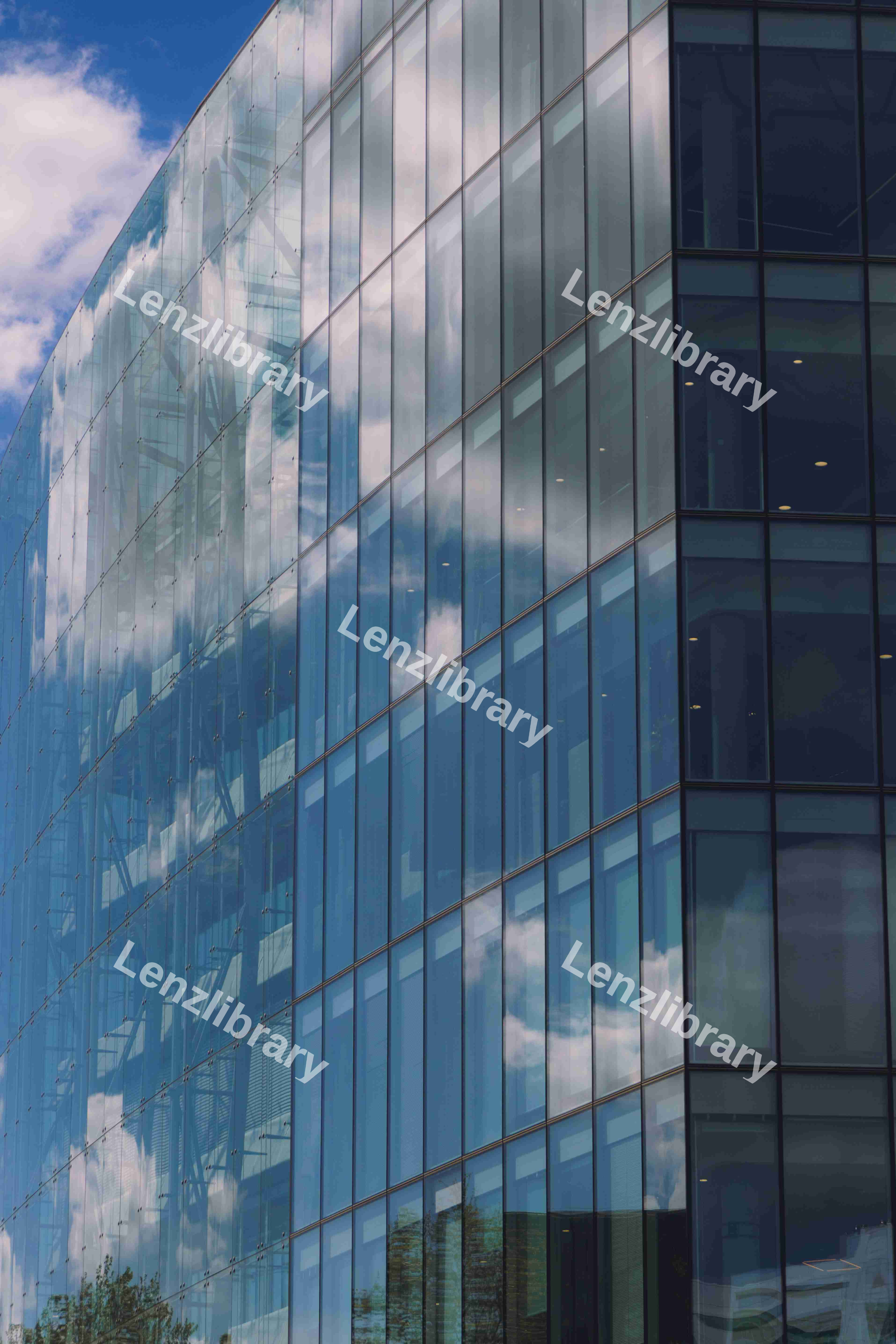 Clouded Reflections